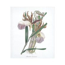 Load image into Gallery viewer, Galenadra Devoniana Cotton Linen Wall Tapestry 51"x 60"