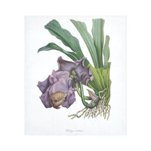 Load image into Gallery viewer, Huntleya Violacea Cotton Linen Wall Tapestry 51"x 60"
