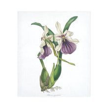 Load image into Gallery viewer, Miltonia Spectabilis Cotton Linen Wall Tapestry 51"x 60"