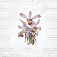 Load image into Gallery viewer, Laelia Superbiens Cotton Linen Wall Tapestry 51"x 60"