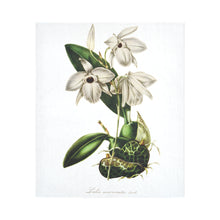 Load image into Gallery viewer, laelia acuminata Cotton Linen Wall Tapestry 51"x 60"