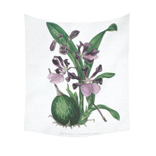 Load image into Gallery viewer, Epidendrum Macrochilum roseum Cotton Linen Wall Tapestry 51"x 60"