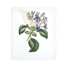 Load image into Gallery viewer, hindsia violacea Cotton Linen Wall Tapestry 51"x 60"
