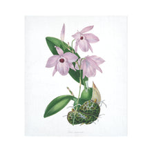 Load image into Gallery viewer, Laelia Accumalata Cotton Linen Wall Tapestry 51"x 60"