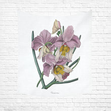 Load image into Gallery viewer, Vanda Teres Cotton Linen Wall Tapestry 51"x 60"