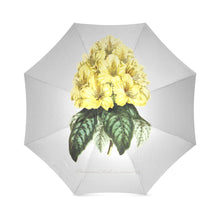 Load image into Gallery viewer, rhododinrumm smithii Foldable Umbrella
