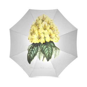 rhododinrumm smithii Foldable Umbrella