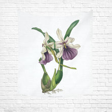 Load image into Gallery viewer, Miltonia Spectabilis Cotton Linen Wall Tapestry 51&quot;x 60&quot;