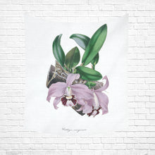 Load image into Gallery viewer, Cattleya Marginata Cotton Linen Wall Tapestry 51&quot;x 60&quot;