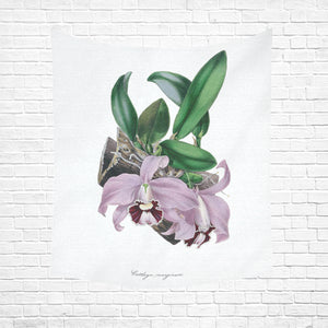 Cattleya Marginata Cotton Linen Wall Tapestry 51"x 60"