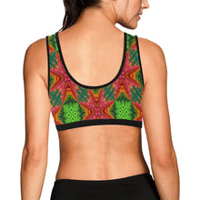 Load image into Gallery viewer, pattern 313 Women&#39;s All Over Print Sports Bra (Model T52)