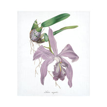 Load image into Gallery viewer, Laelia Majalis Cotton Linen Wall Tapestry 51&quot;x 60&quot;