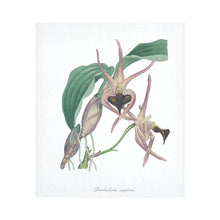 Load image into Gallery viewer, Dendrobium Amplum Cotton Linen Wall Tapestry 51&quot;x 60&quot;