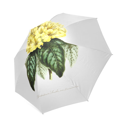 rhododinrumm smithii Foldable Umbrella
