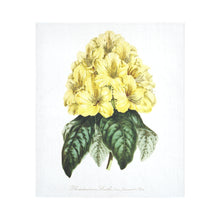 Load image into Gallery viewer, rhododinrumm smithii Cotton Linen Wall Tapestry 51&quot;x 60&quot;