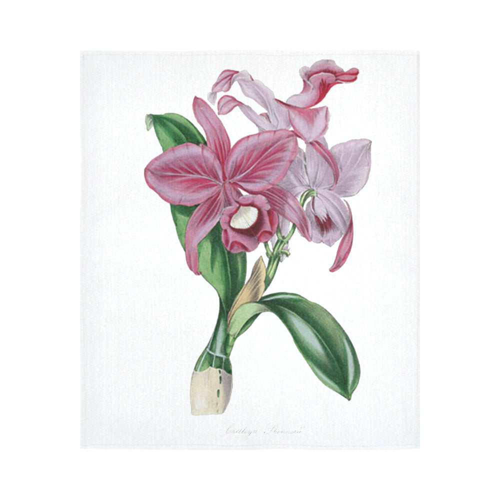 Cattleya Skinnerii Cotton Linen Wall Tapestry 51