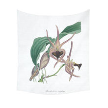 Load image into Gallery viewer, Dendrobium Amplum Cotton Linen Wall Tapestry 51&quot;x 60&quot;