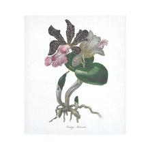 Load image into Gallery viewer, Cattleya Aclandia Cotton Linen Wall Tapestry 51&quot;x 60&quot;