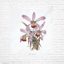 Load image into Gallery viewer, Laelia Superbiens Cotton Linen Wall Tapestry 51&quot;x 60&quot;