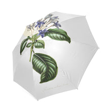 Load image into Gallery viewer, hindsia violacea Foldable Umbrella
