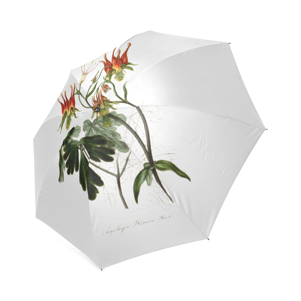 aquilea skimmer Foldable Umbrella