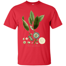 Load image into Gallery viewer, NAPOLEONA IMPERIALIS  Gildan Ultra Cotton T-Shirt