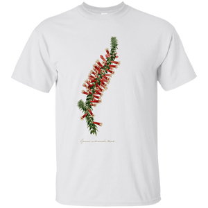 EPACRIS AUTUMNALIS  Gildan Ultra Cotton T-Shirt