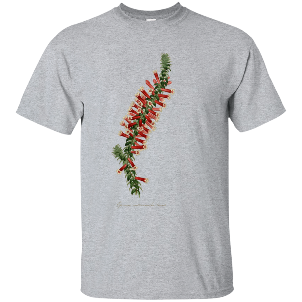 EPACRIS AUTUMNALIS  Gildan Ultra Cotton T-Shirt