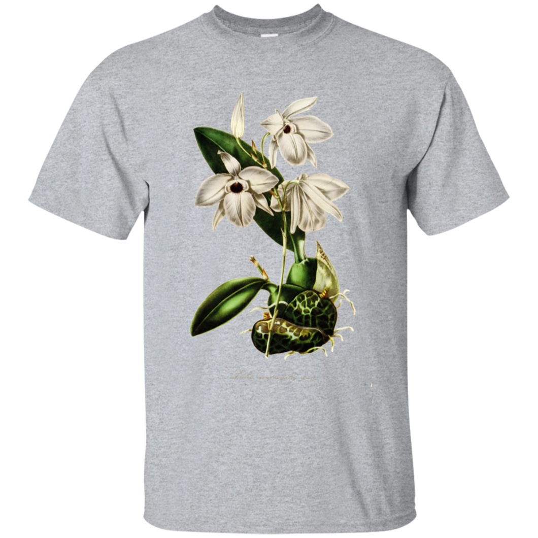 Laelia Acuminata Gildan Ultra Cotton T-Shirt