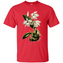 Load image into Gallery viewer, Laelia Acuminata Gildan Ultra Cotton T-Shirt