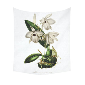 laelia acuminata Cotton Linen Wall Tapestry 51"x 60"